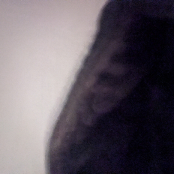 Belstaff Black Quilted Women's Vest - Picture 15 of 16